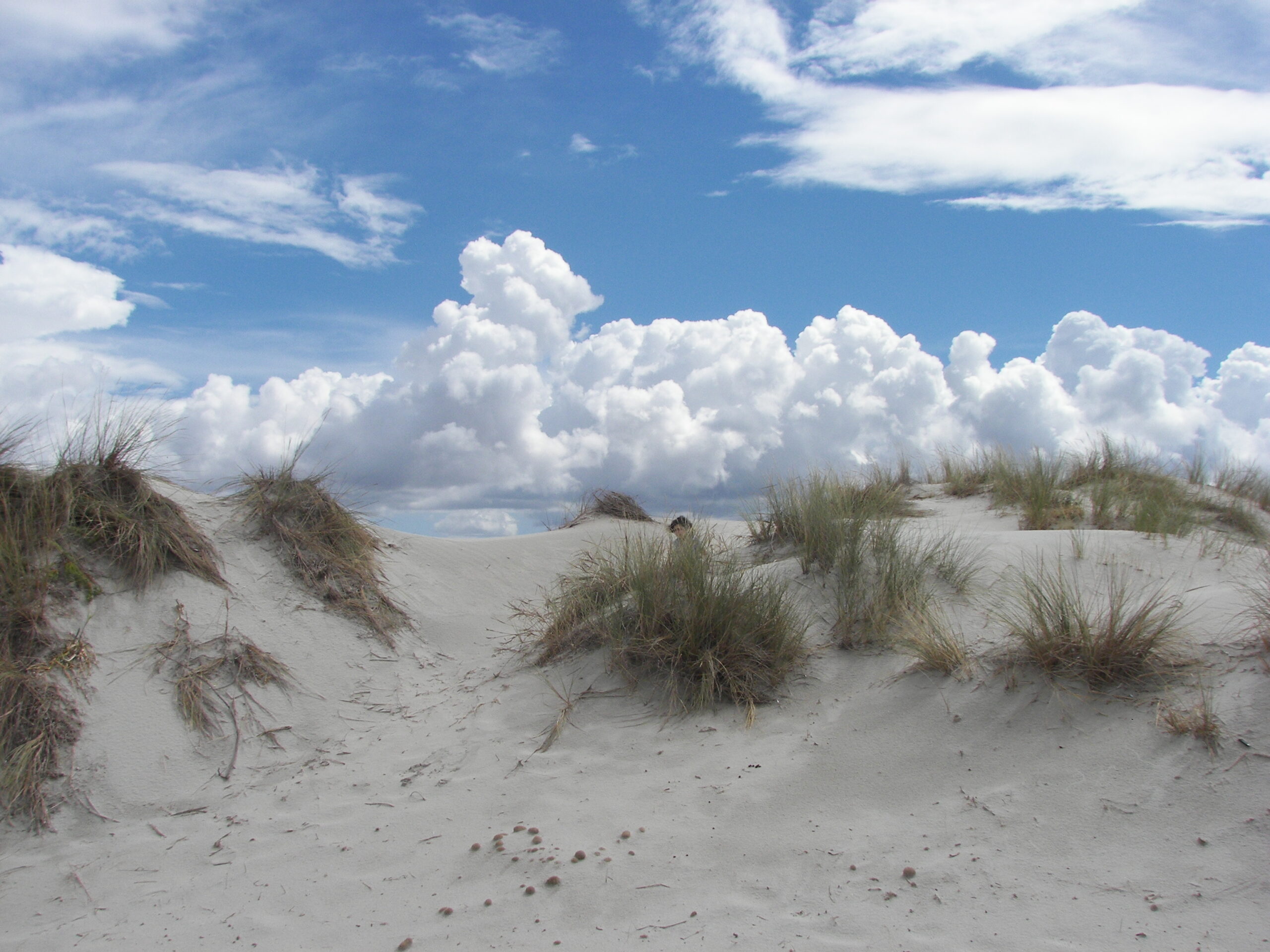 Dune_di_Porto_Pino_-_S._Anna_Arresi_(CI)_-_panoramio_(3)